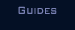 Guides